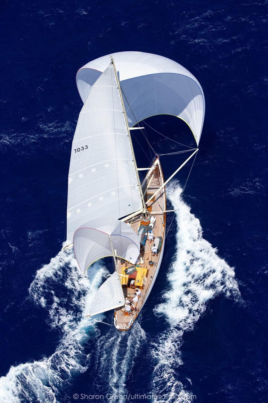 The Sailors – Sailing Forward